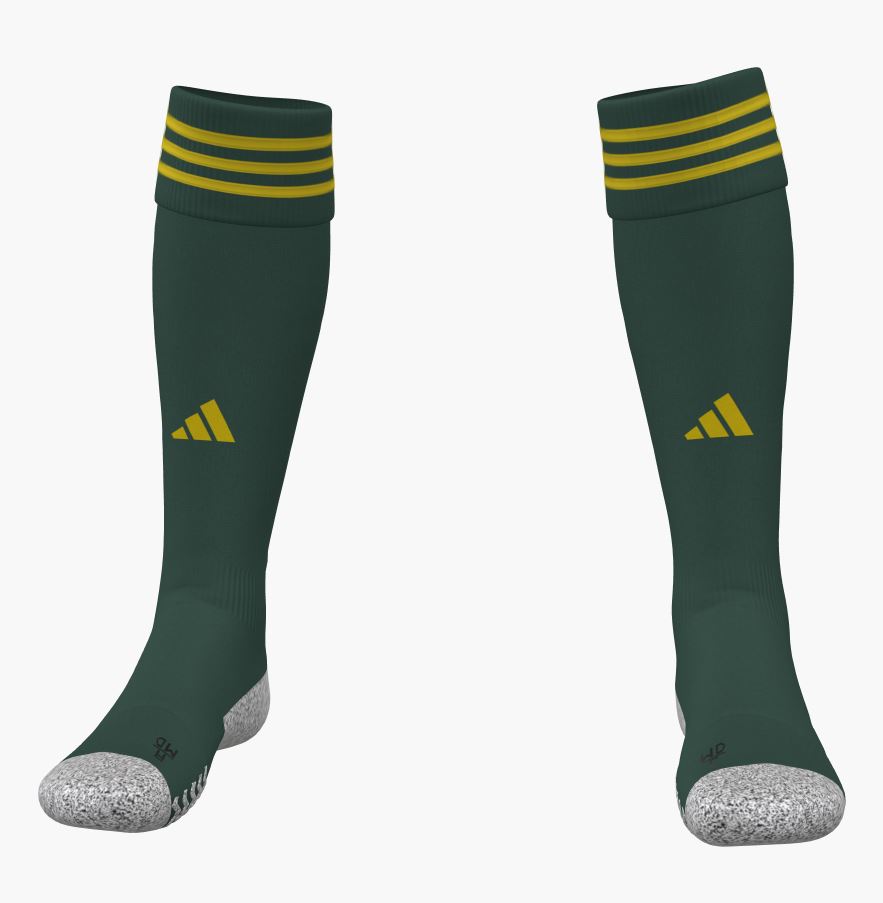 Ashton School Socks